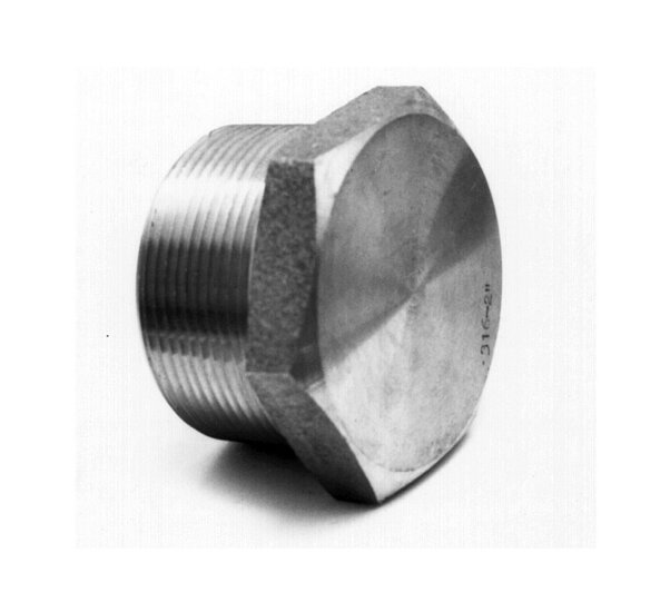 Rvs plug 3/4&#039;&#039;